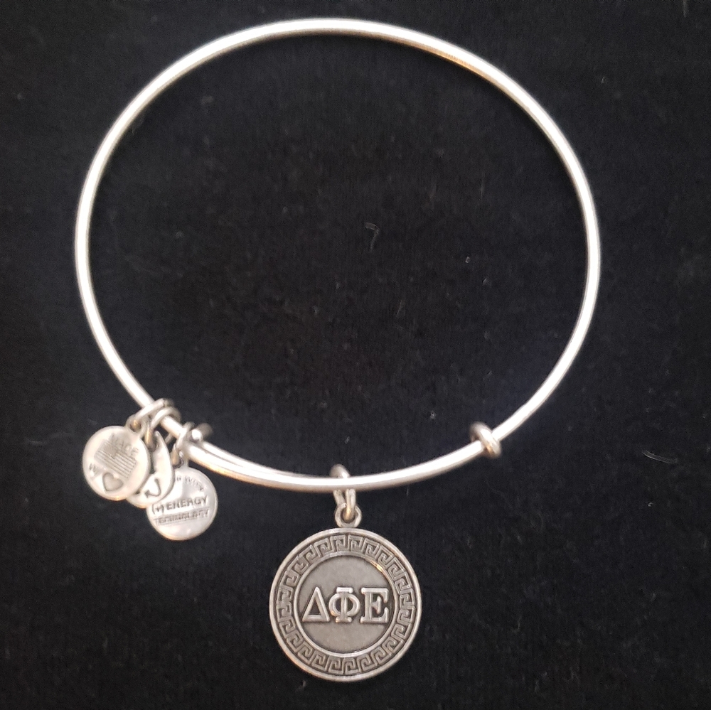 Alex and Ani Rafaelian Silver Delta Phi Epsilon 2012 - Picture 6 of 8